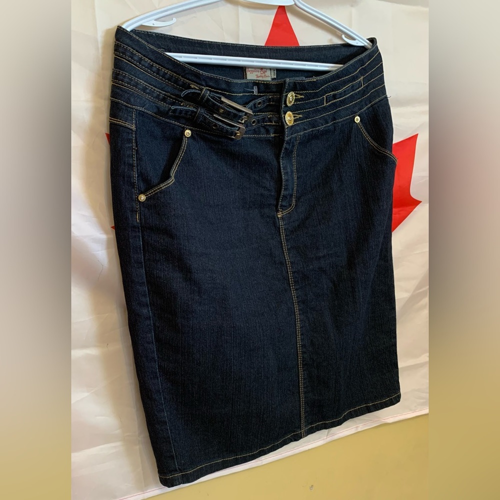 Blue jeans Skirts Danim